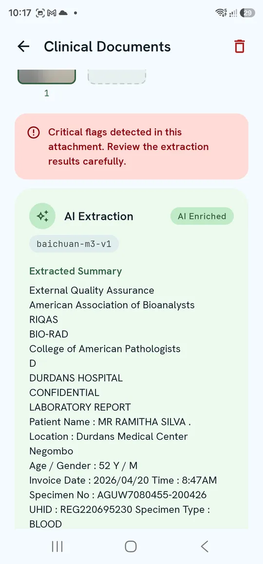 Critical flags banner and the AI Extraction card with its Extracted Summary